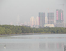 shenzhen