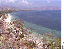 timor beach