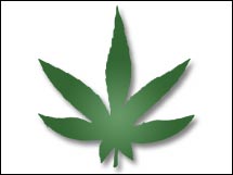 Canada may decriminalize possession of a small amount of marijuana.