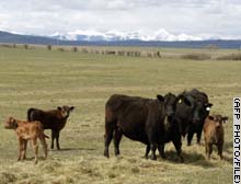The U.S. banned imports from Canada after one Alberta cow was confirmed in May as having had the disease.