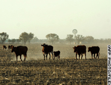 The harsh drought conditions of 2002 are starting to ease in Australia.