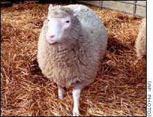 Creators of Dolly the sheep are also skeptical of the claims.