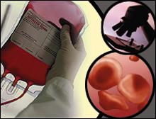 Red Cross: White specks apparently not 'infectious agents'