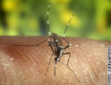 Pants and long-sleeved shirts along with repellent help protect against mosquitoes.