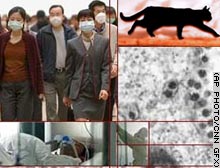 Scientists fear it's a seasonal virus