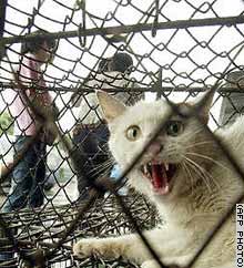 SARS first emerged in Guangdong, with evidence suggesting it jumped from animals to humans.