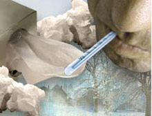 Data point to more virulent influenza strain, aging population