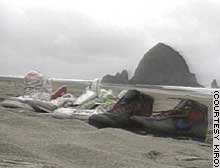 Nike shoes washed up on Pacific Northwest beaches after they were lost from a carrier in May 1990.