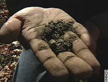 Dry soil produces better red wine grapes; moister soil makes white wine grapes thrive. 
