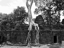For centuries after its fall the city of Angkor was abandoned to the jungle