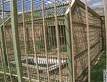 Looters emptied some of the zoo's cages.