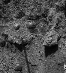 The Opportunity rover made this close-up image of spherules embedded in the wall of a trench it dug with one wheel on Mars. These spheres are more reflective than those previously found on the Martian surface.