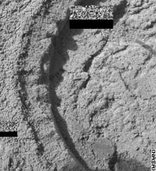 The semi-circular depression on the right side of this microscopic image resulted from Opportunity's grinding of a Martian rock February 23, 2004.