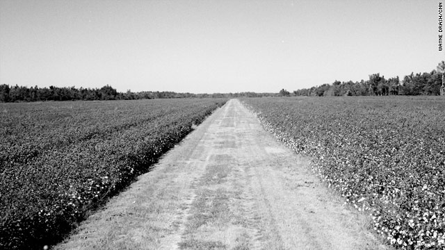 From farm field to cotton mill: The making of America's denim 