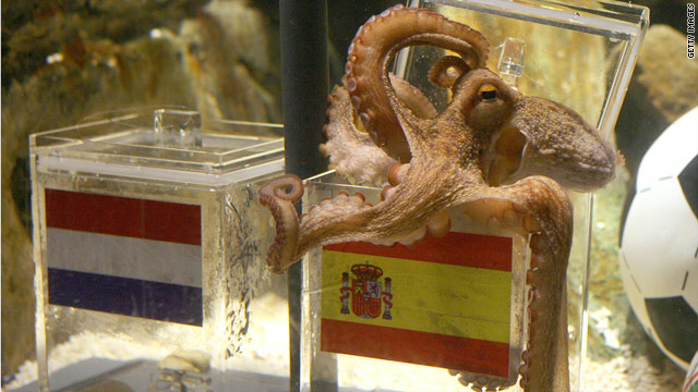 Paul the Octopus