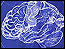 8 ways to tame your brain