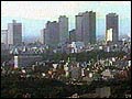 Top cities