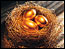 13 retirement myths
